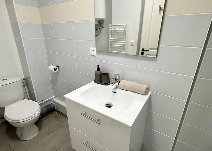 1- Hypercentre,free Parking, Clim, Wifi, Netflix Lejlighed Libourne